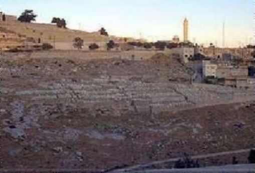 Mount of Olives where Jesus ascended