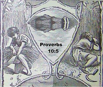 Proverbs 10:5