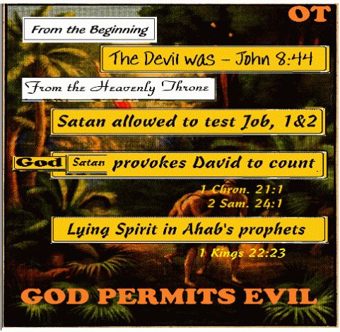 God permits evil; an illustration