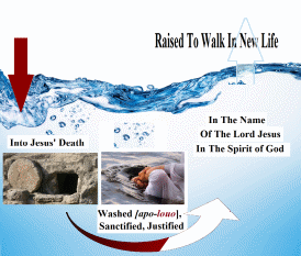 raised to walk in newness of life illustrated