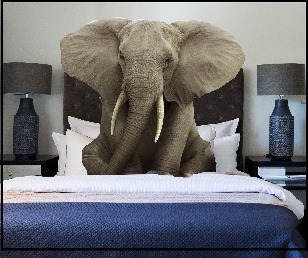elephant illustrated being in the bedroom; idiom