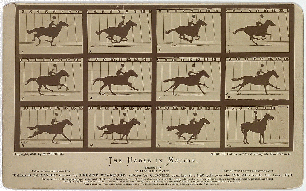HORSE IN MOTION, illustration