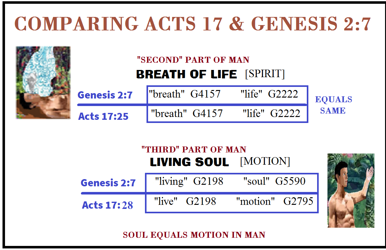 chart comparing Genesis 2:7 with Acts 17