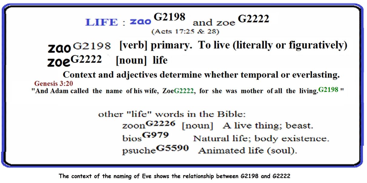 chart on meaning of Greek G2198 and G2222. Eve='zoe'. children='zao'