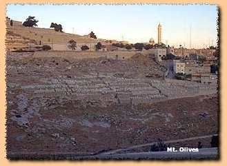 Mt. Olives