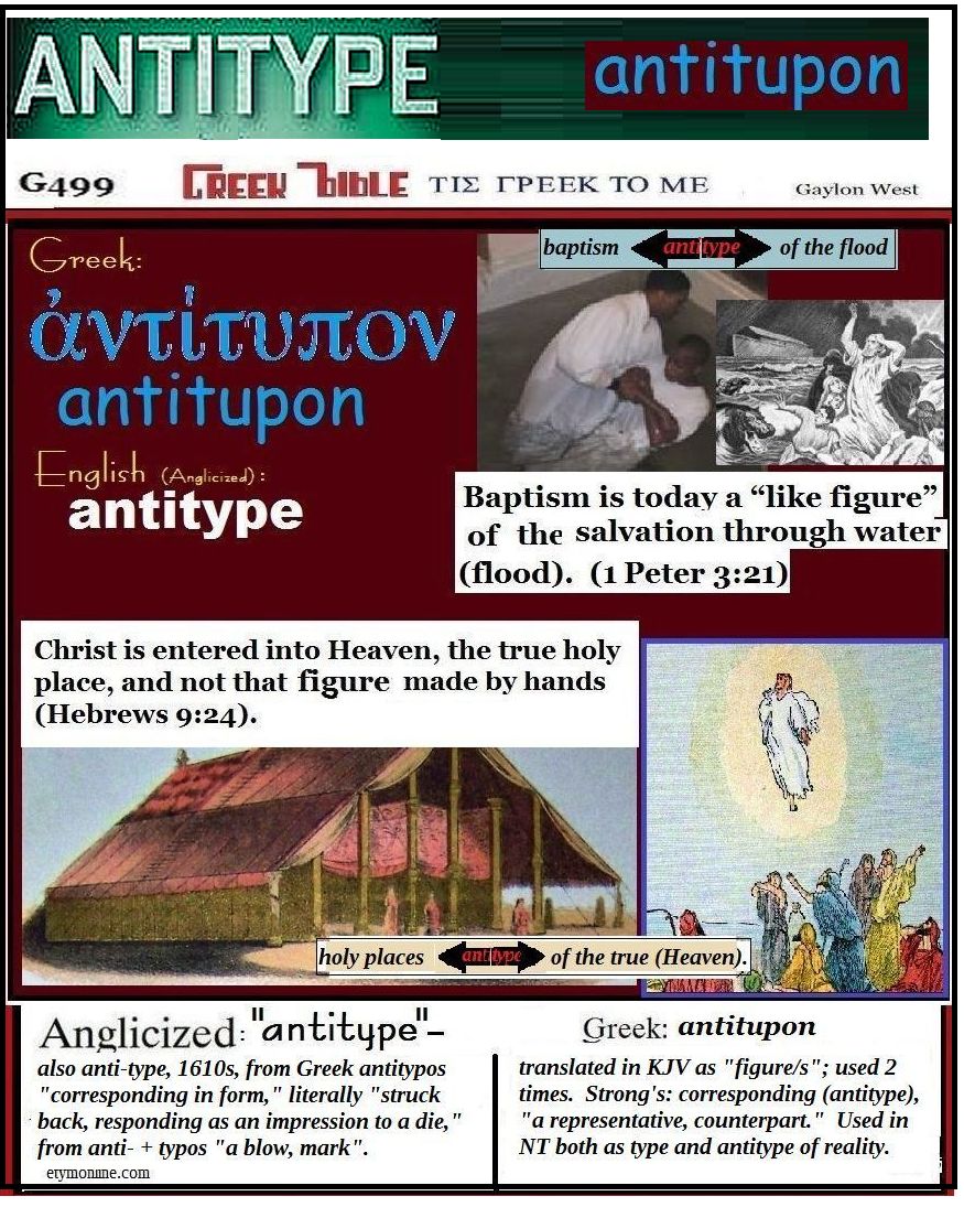 antitype  antitupon G499 illustrated