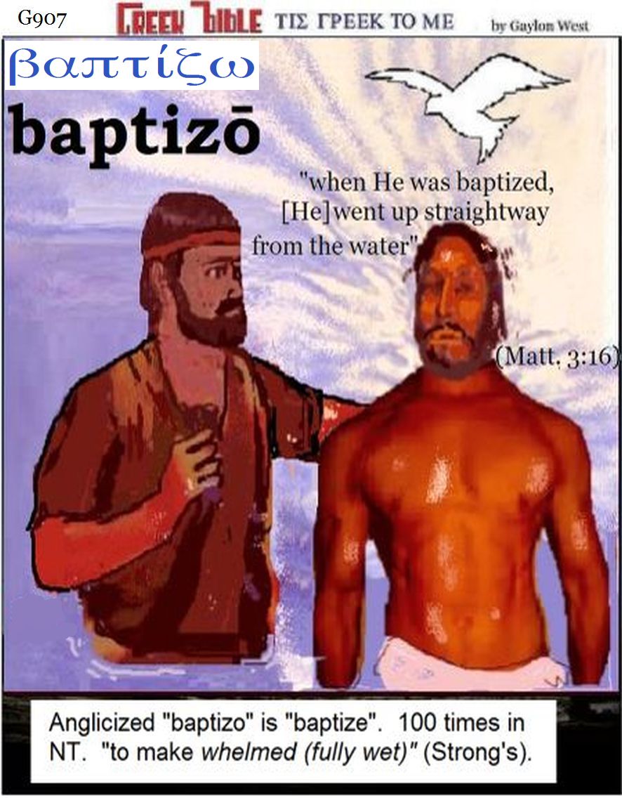 baptizo G907. Immersion.   Greek words of the New Testament, illustrated.