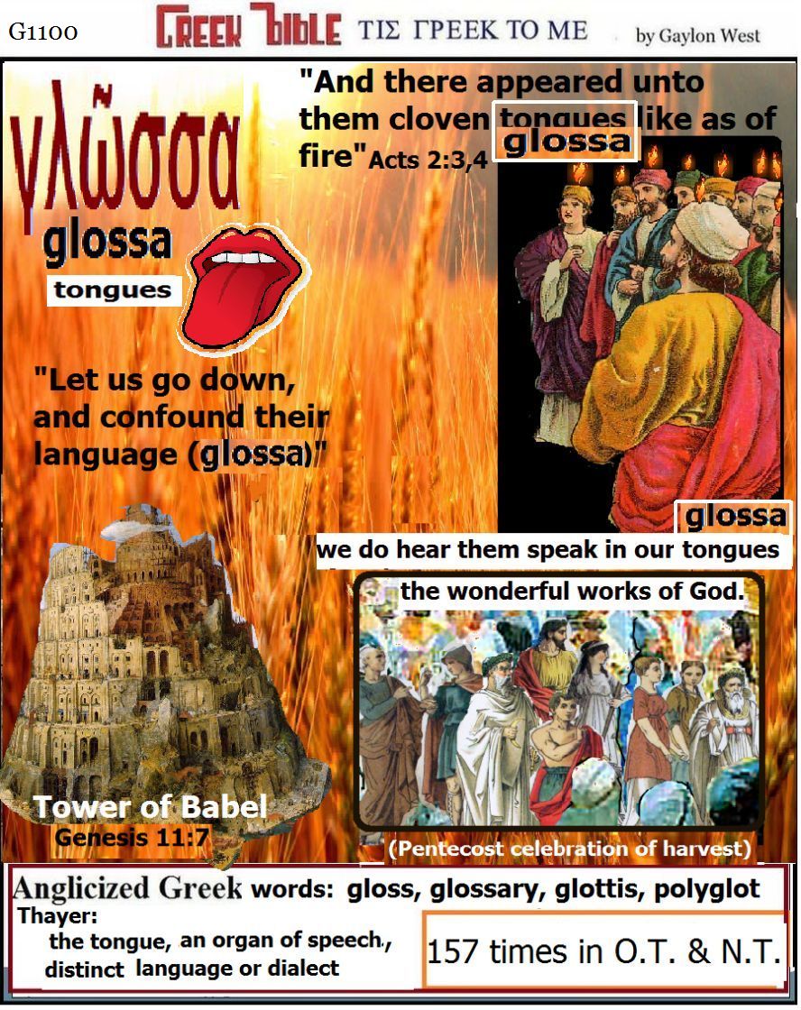 tongues G1100 glossa; languages.  Greek words of the New Testament, illustrated.