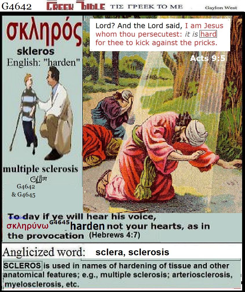 skleros G4642 : harden.  Greek words of the New Testament, illustrated.