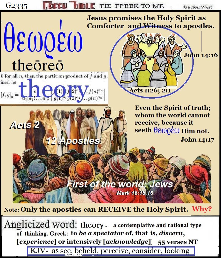 theory G2335; experience. Greek words of the New Testament, illustrated.