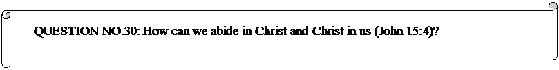 Horizontal Scroll: QUESTION NO.30: How can we abide in Christ and Christ in us (John 15:4)? 
  
	


